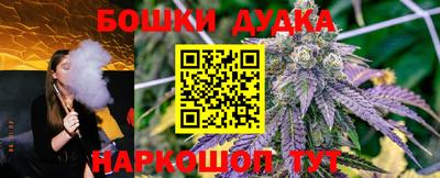 сатива Дубна
